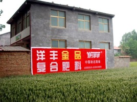 自贡如何让墙体广告展现最大化效果