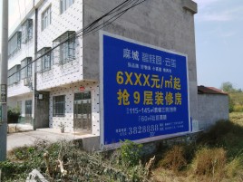 自贡墙体广告质量分析