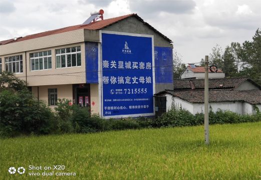 自贡决定墙体广告价格的因素有哪些?