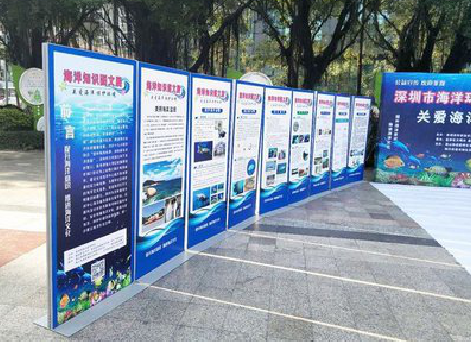 自贡KT板的种类和知识。